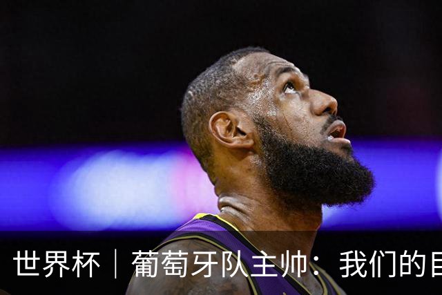 世界杯｜葡萄牙队主帅：我们的目标是打满八场比赛
