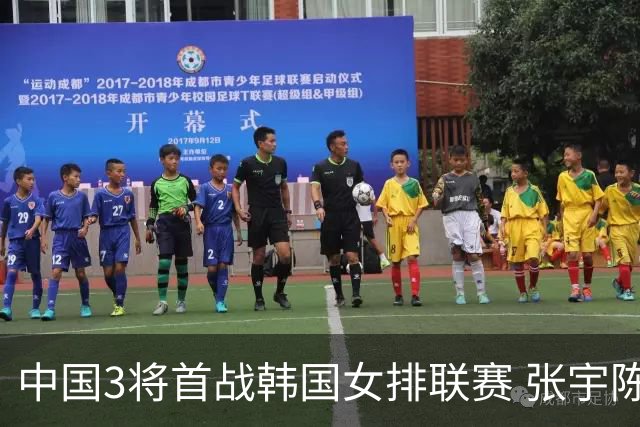 中国3将首战韩国女排联赛 张宇陈馨彤黄瑞蕾抵韩