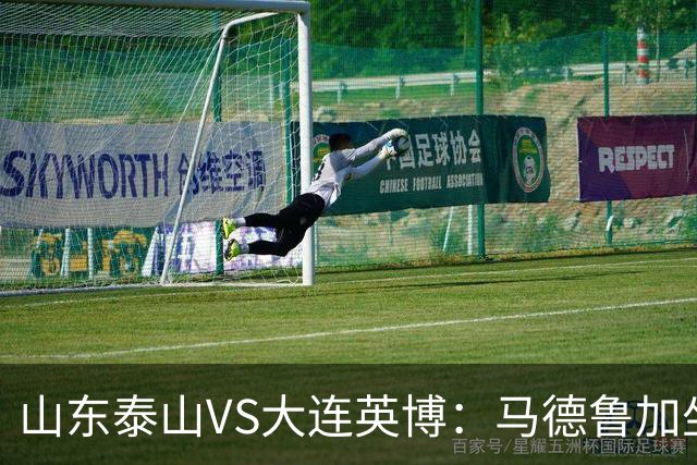 山东泰山VS大连英博：马德鲁加坐镇中场，瓦科领衔进攻，克雷桑复出
