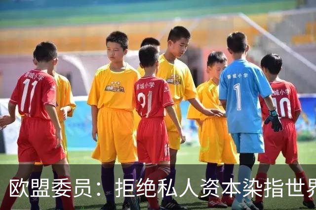 欧盟委员：拒绝私人资本染指世界杯 将调查是否违规