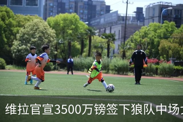 维拉官宣3500万镑签下狼队中场戈麦斯 合同为期五年