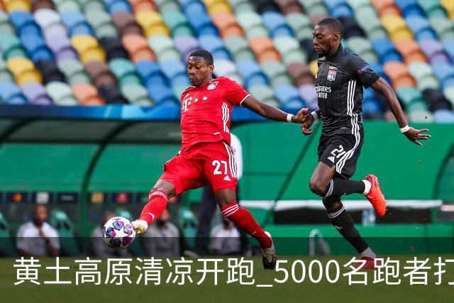 黄土高原清凉开跑 5000名跑者打卡宁夏彭阳梯田半马