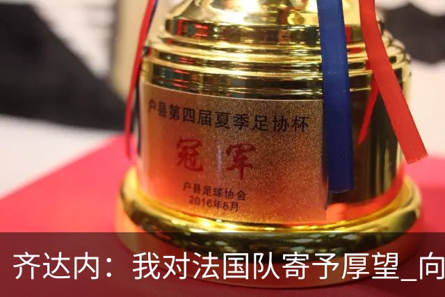 齐达内：我对法国队寄予厚望 向德尚十四年的付出致敬